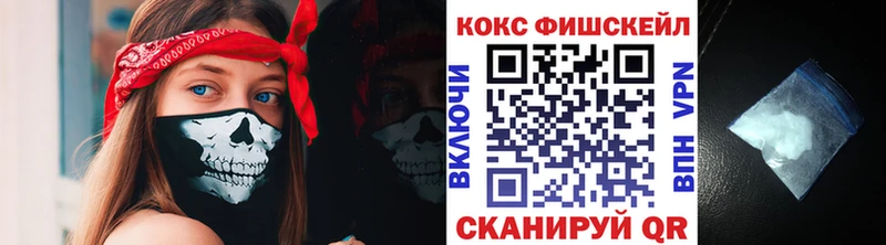 КОКАИН Fish Scale  Купить  Дедовск 