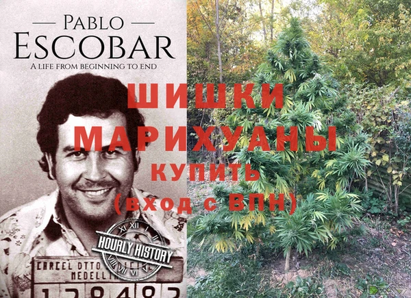 ГАЛЛЮЦИНОГЕННЫЕ ГРИБЫ Кодинск