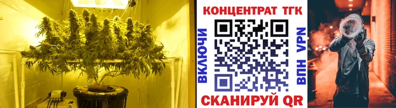 Купить закладки Дедовск ТГК Wax
