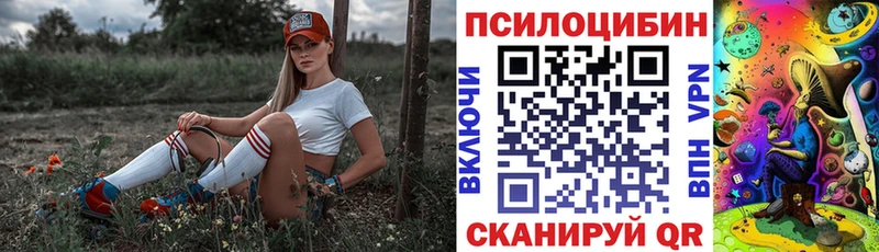 Галлюциногенные грибы мицелий  Купить где  Дедовск 